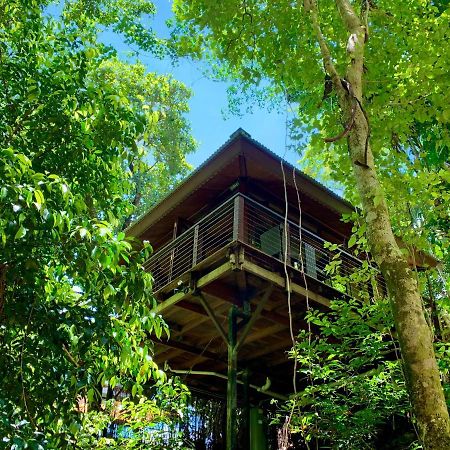 Cairns Rainforest Retreat Bagian luar foto