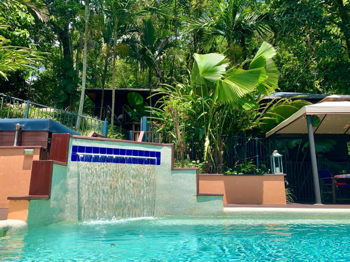 Cairns Rainforest Retreat Bagian luar foto