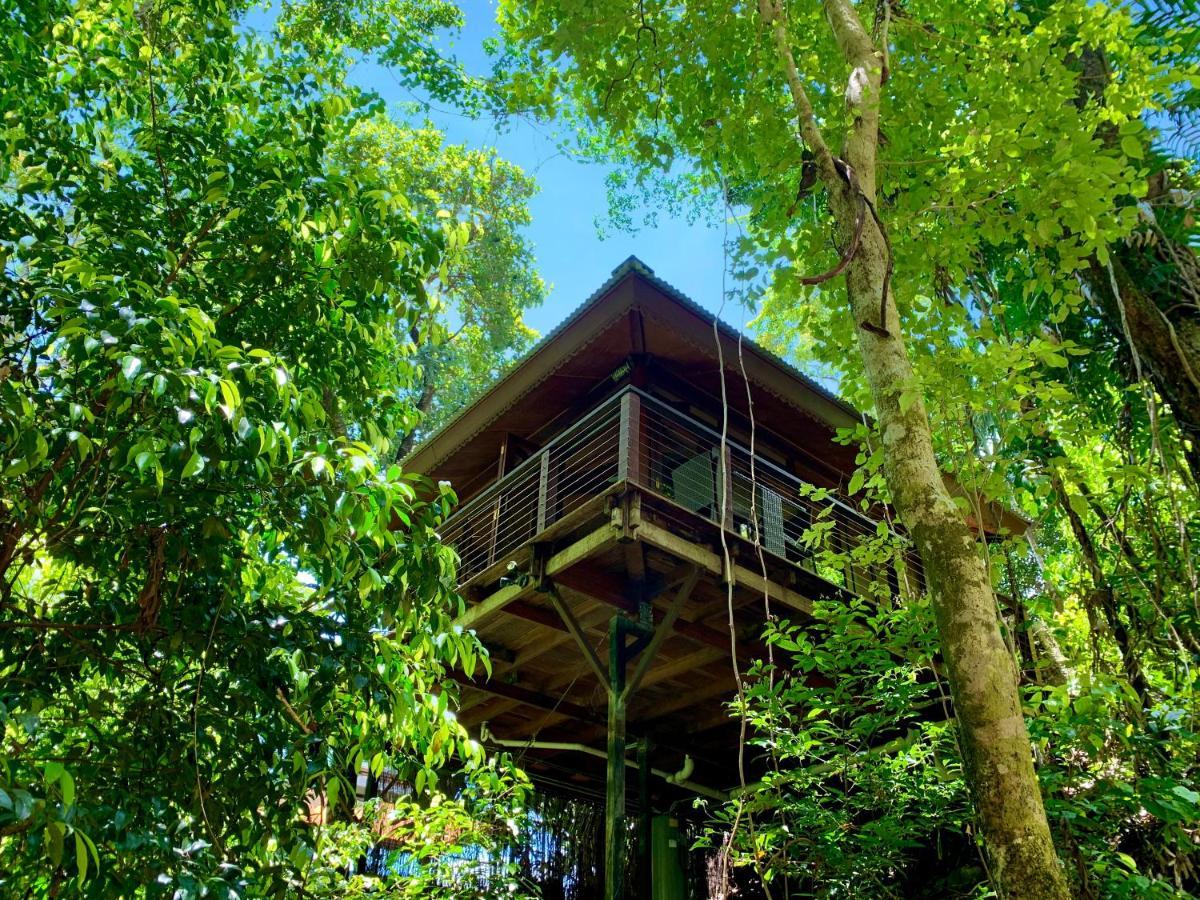 Cairns Rainforest Retreat Bagian luar foto