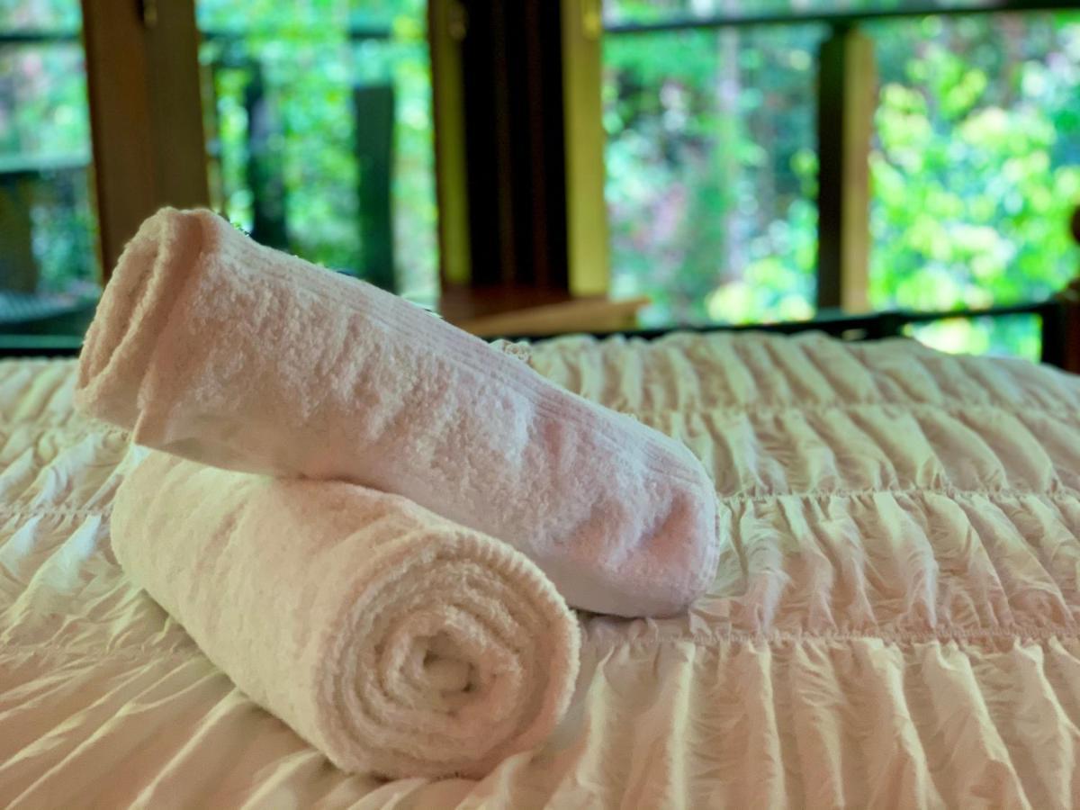 Cairns Rainforest Retreat Bagian luar foto