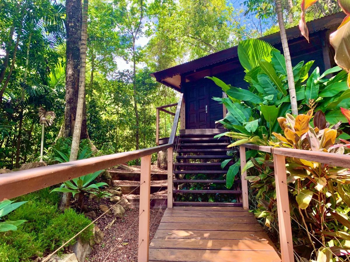 Cairns Rainforest Retreat Bagian luar foto