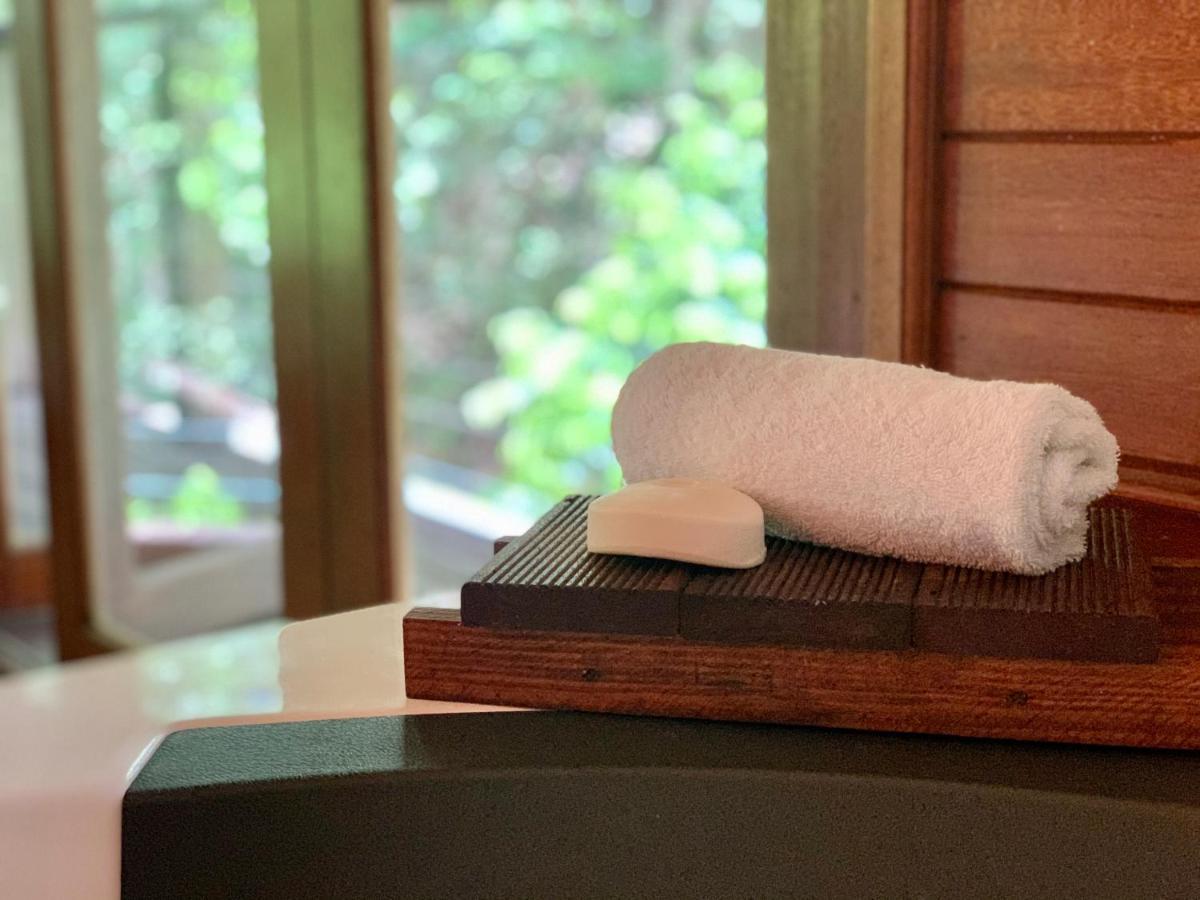 Cairns Rainforest Retreat Bagian luar foto