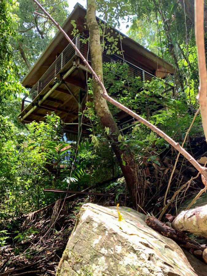 Cairns Rainforest Retreat Bagian luar foto