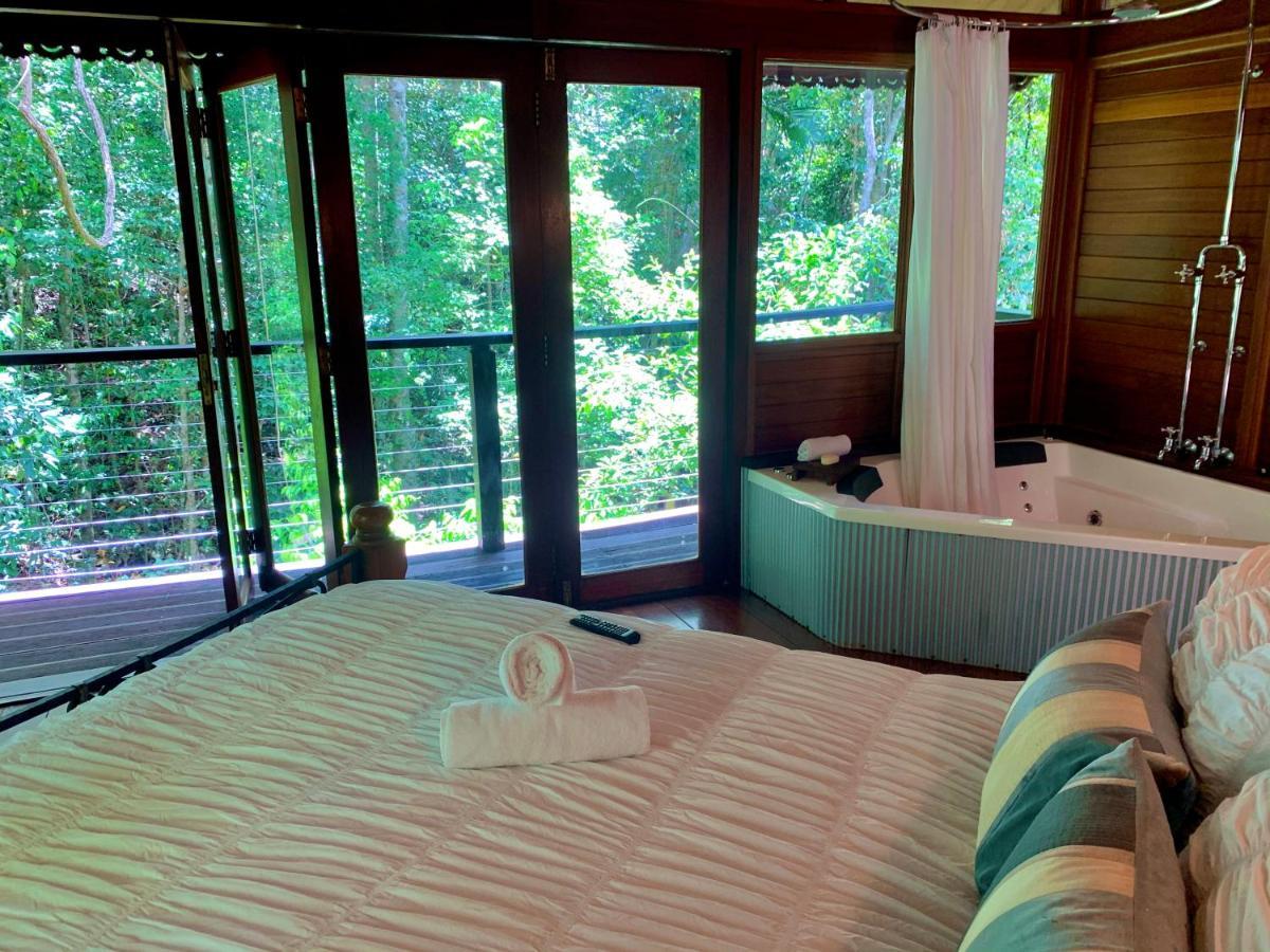 Cairns Rainforest Retreat Bagian luar foto