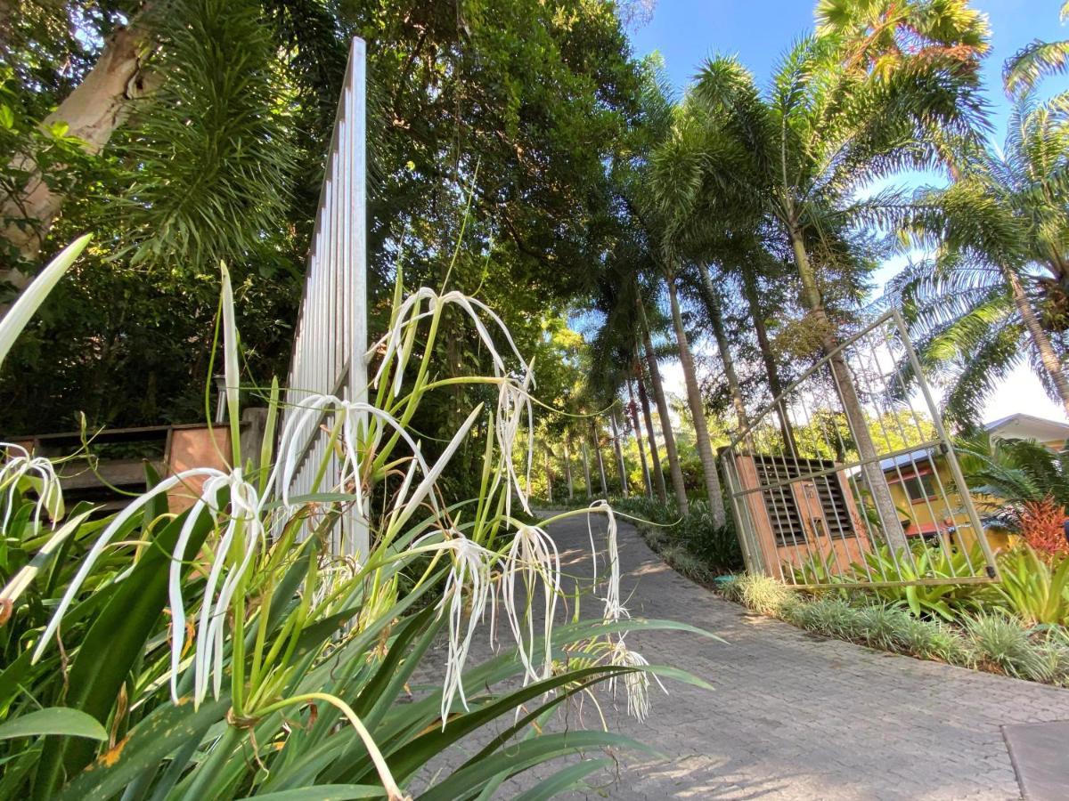Cairns Rainforest Retreat Bagian luar foto